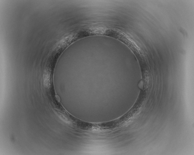 X0000116490641200912091421