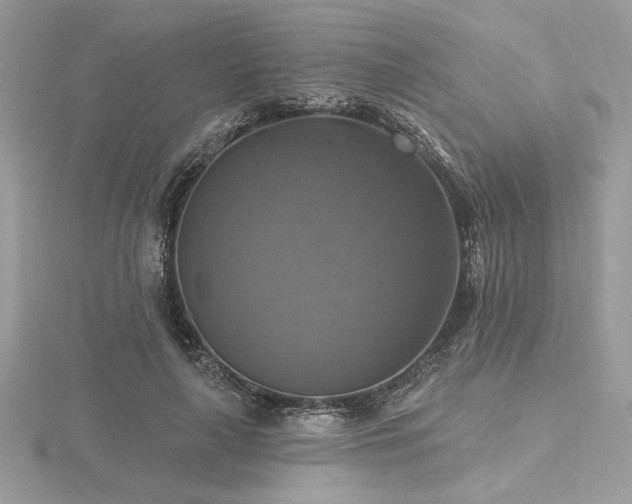 X0000116490643200912091421