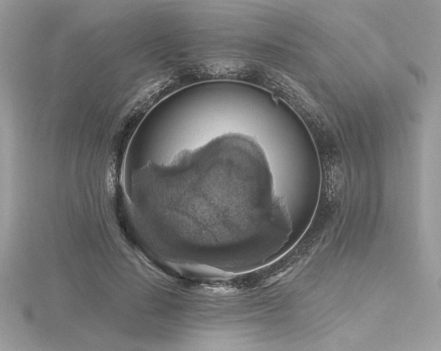 X0000116490644200912091421