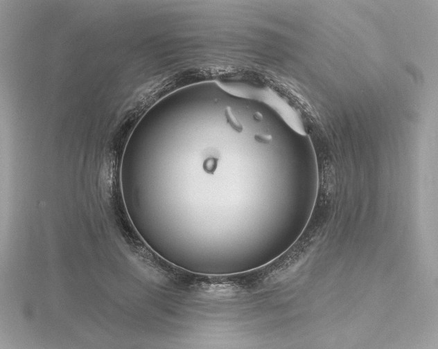 X0000116490645200912091421