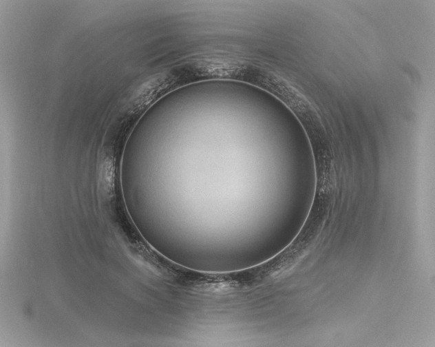 X0000116490646200912091421