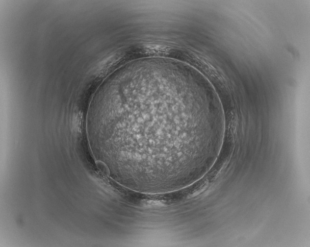 X0000116490649200912091421