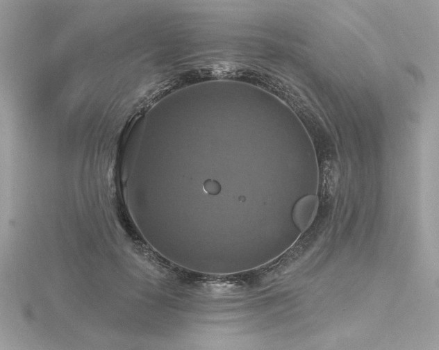 X0000116490650200912091421