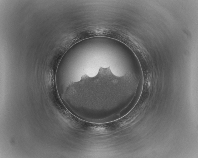 X0000116490651200912091421