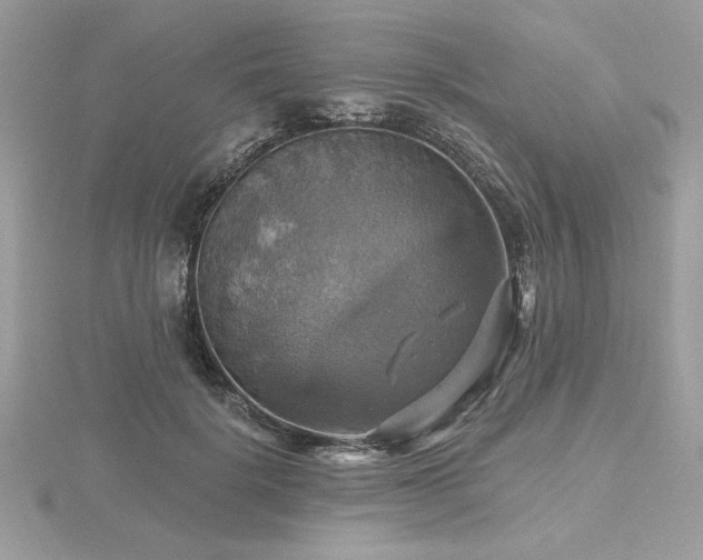 X0000116490652200912091421