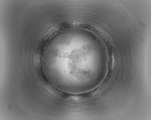 X0000116490654200912091422