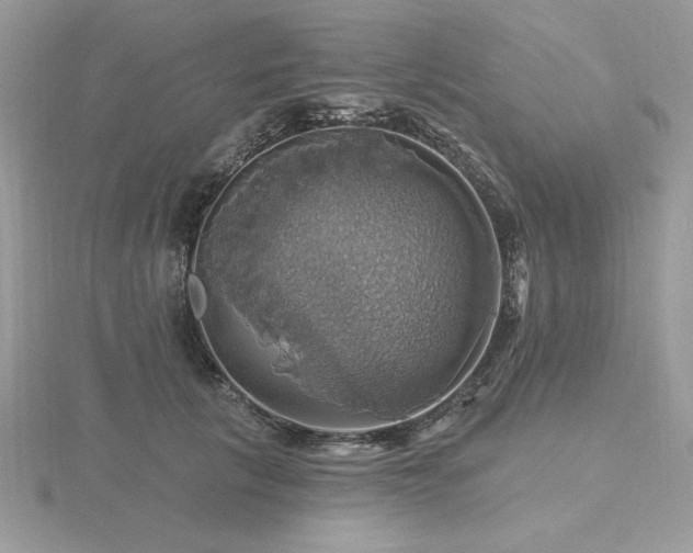 X0000116490657200912091422