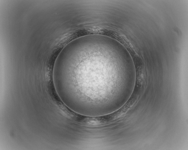 X0000116490658200912091422