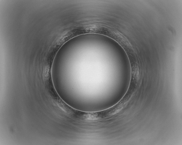 X0000116490660200912091422