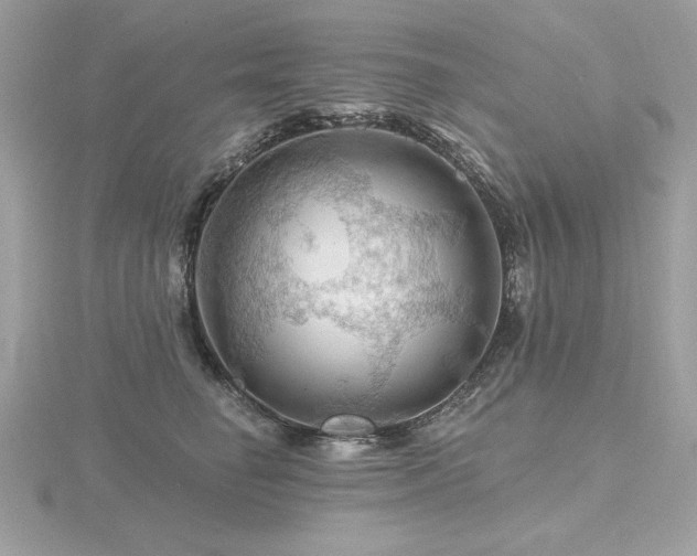 X0000116490662200912091422