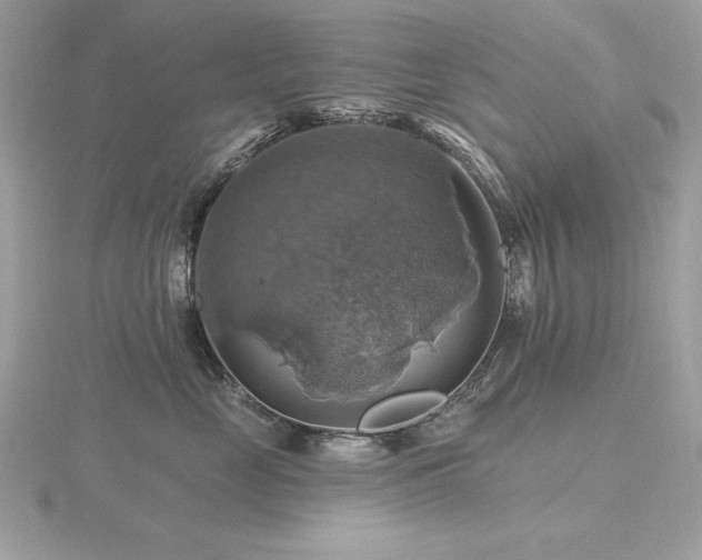 X0000116490669200912091422