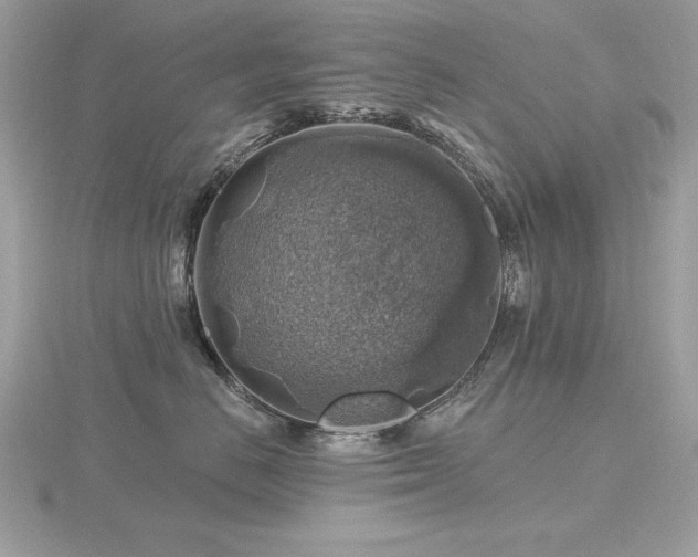 X0000116490670200912091422