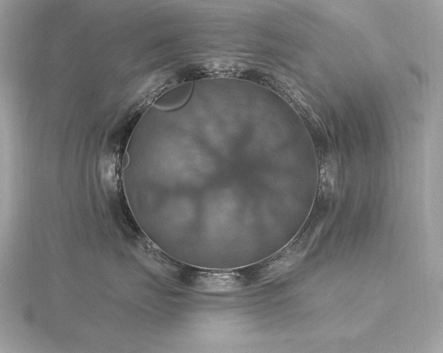 X0000116490671200912091422