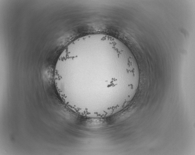 X0000116490672200912091422