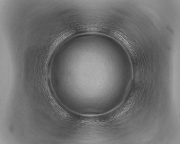 X0000116490673200912091421