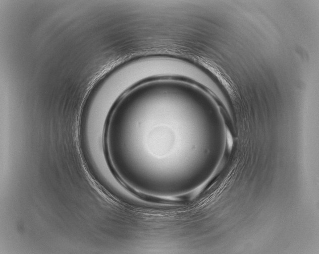 X0000116490677200912091421