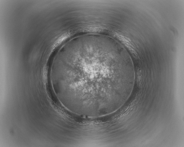 X0000116490679200912091421