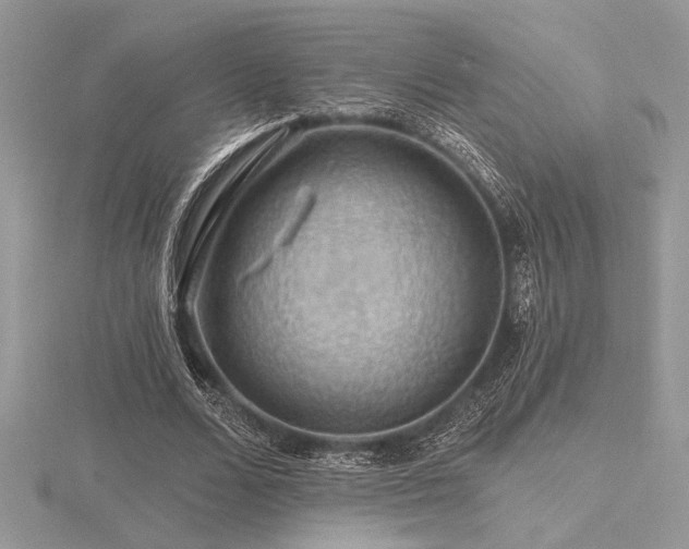 X0000116490680200912091421