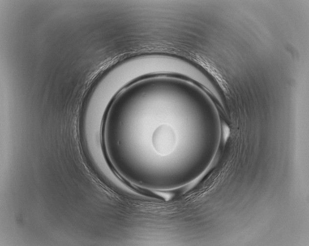 X0000116490681200912091421