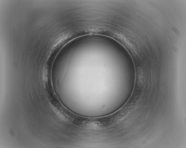 X0000116490683200912091421