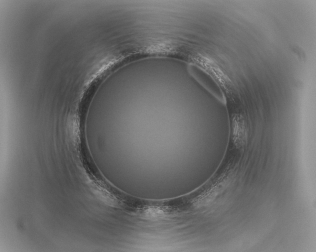 X0000116490684200912091421