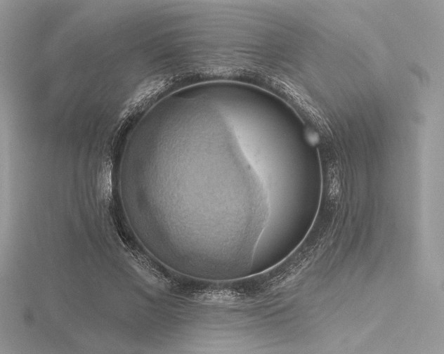 X0000116490685200912091421