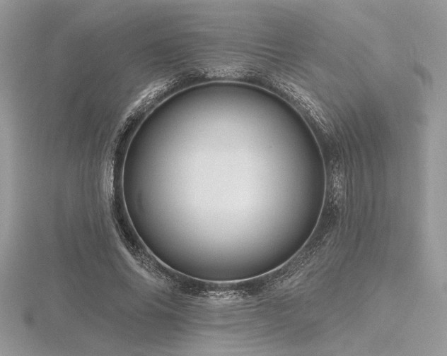 X0000116490686200912091421