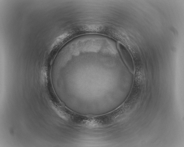 X0000116490688200912091421