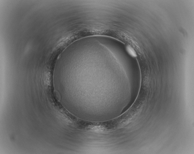 X0000116490689200912091421