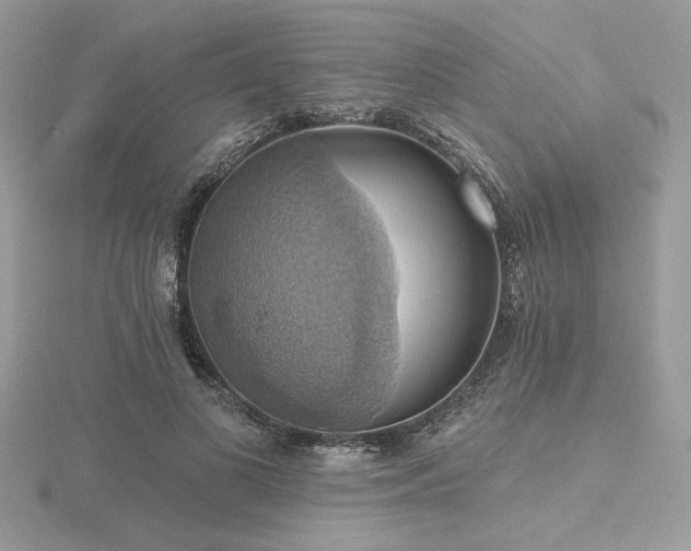 X0000116490693200912091421