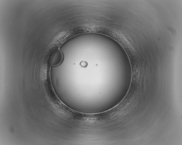 X0000116490694200912091421