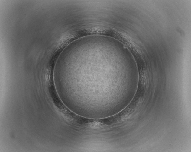 X0000116490695200912091421