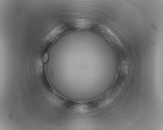 X0000116490696200912091421