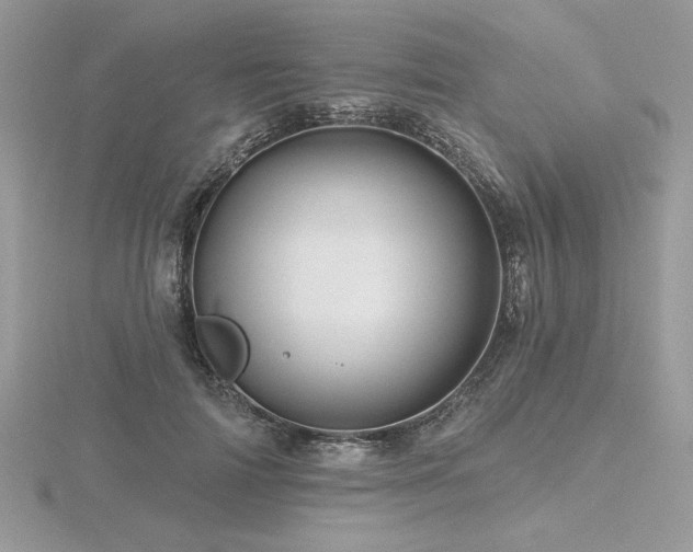 X0000116490698200912091421