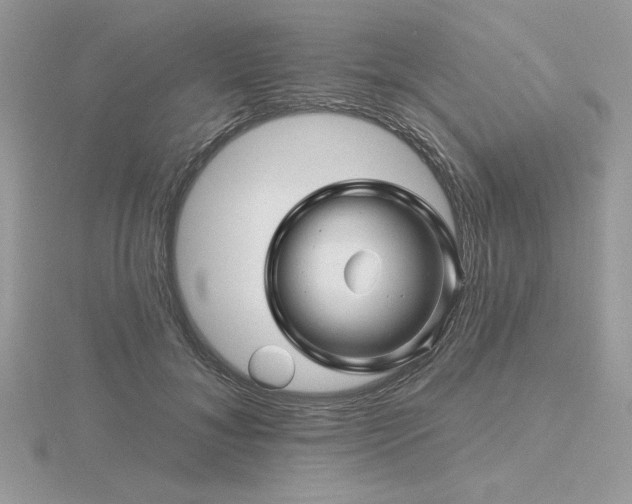 X0000116490700200912091421