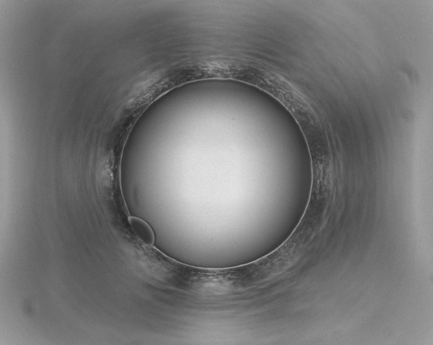 X0000116490702200912091421