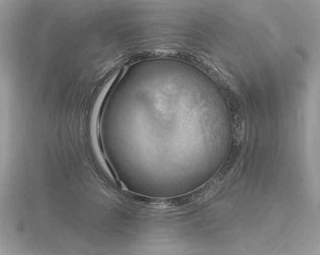 X0000116490704200912091421