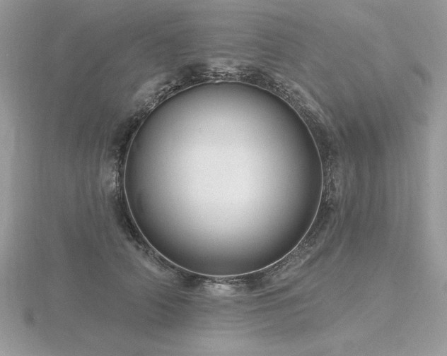 X0000116490706200912091421