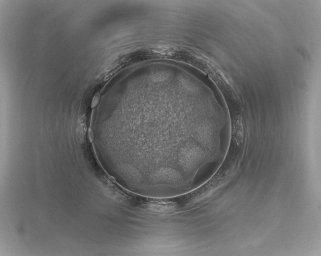 X0000116490707200912091421