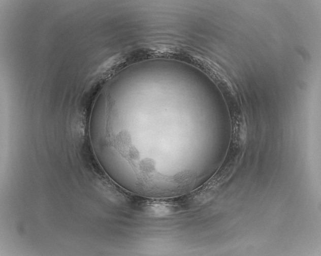 X0000116490710200912091420