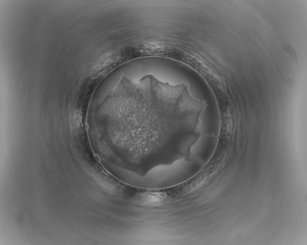 X0000116490711200912091420