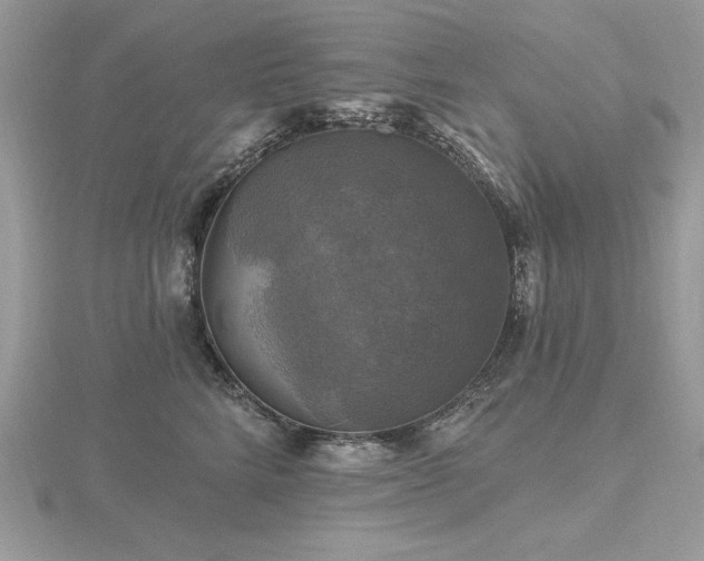 X0000116490712200912091420