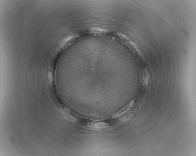 X0000116490716200912091420