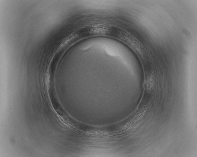 X0000116490722200912091420