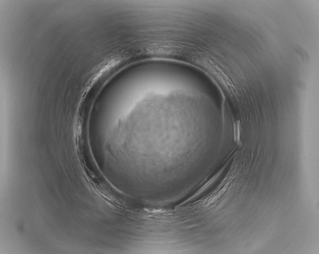 X0000116490723200912091420