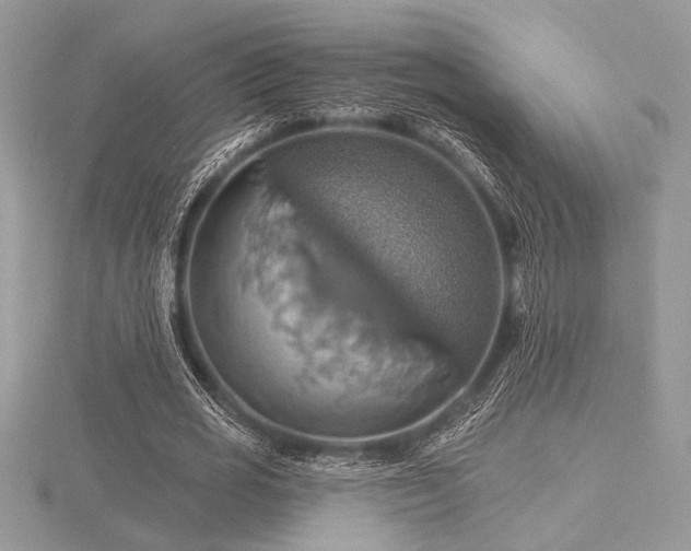 X0000116490725200912091420