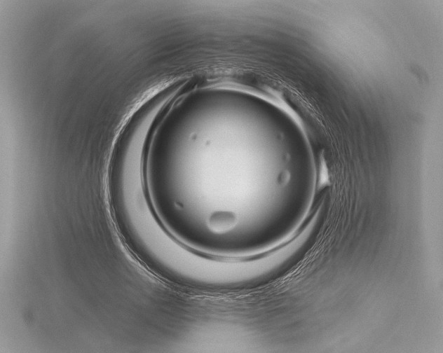 X0000116490726200912091420