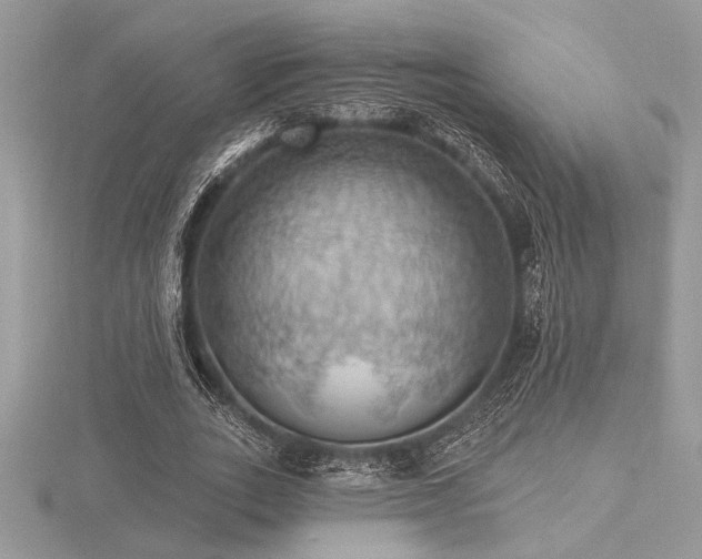 X0000116490727200912091420