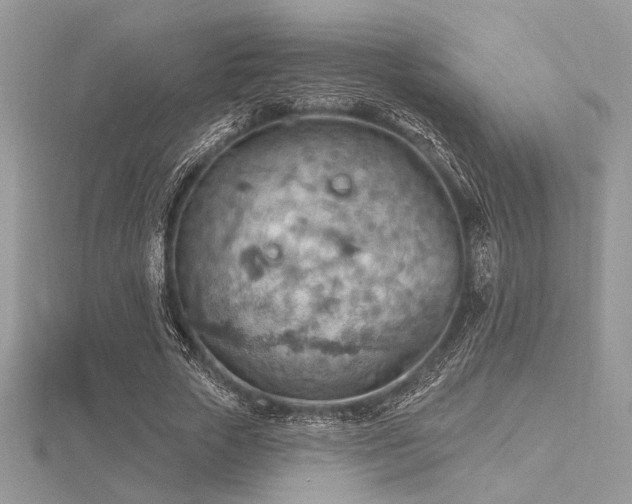 X0000116490729200912091420