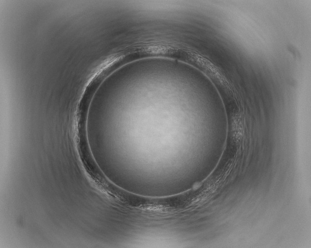 X0000116490730200912091420